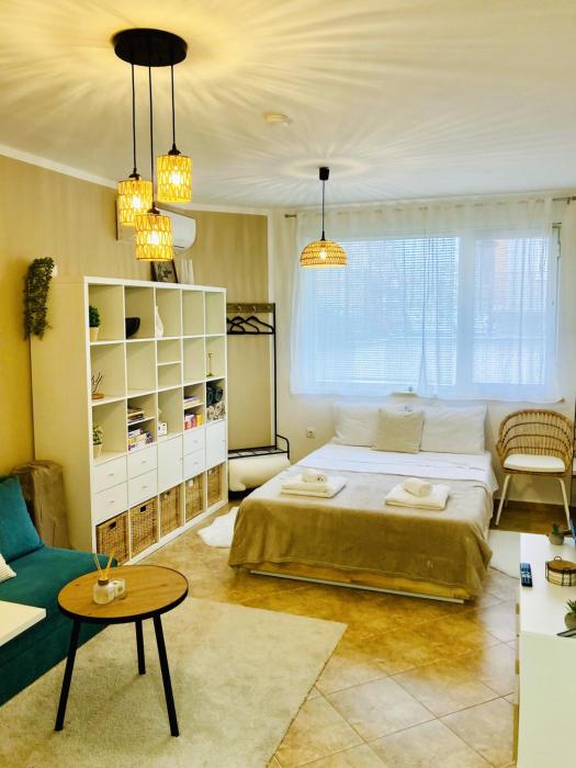 Cozy & Colourful 1Bed Apartment with Free Parking