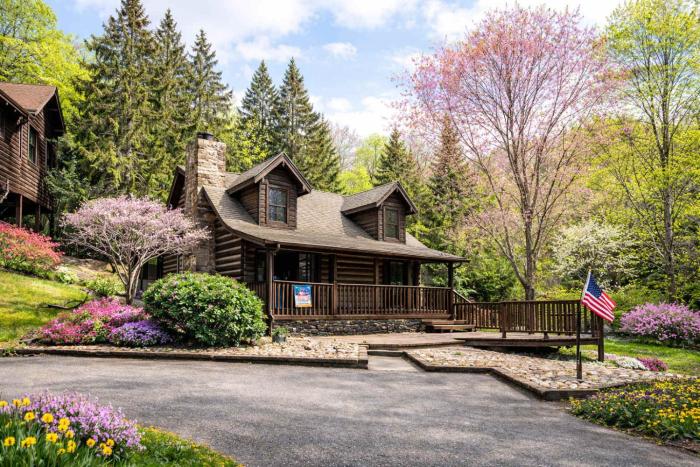 Smoky Mountain Retreat with Game Room Firepit