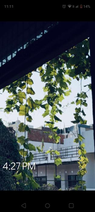 Kumbh homestay near sangam