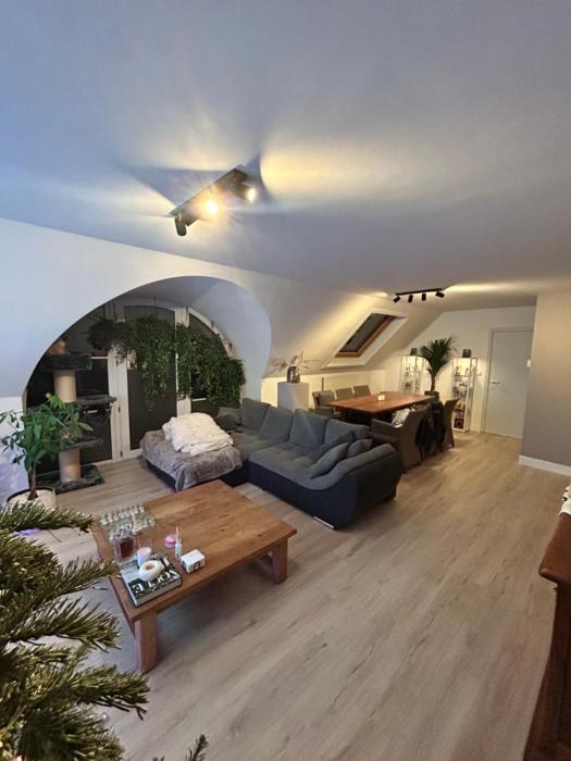 Tommorowland 2026 - rooftop Apartment With festival view - 600m walk