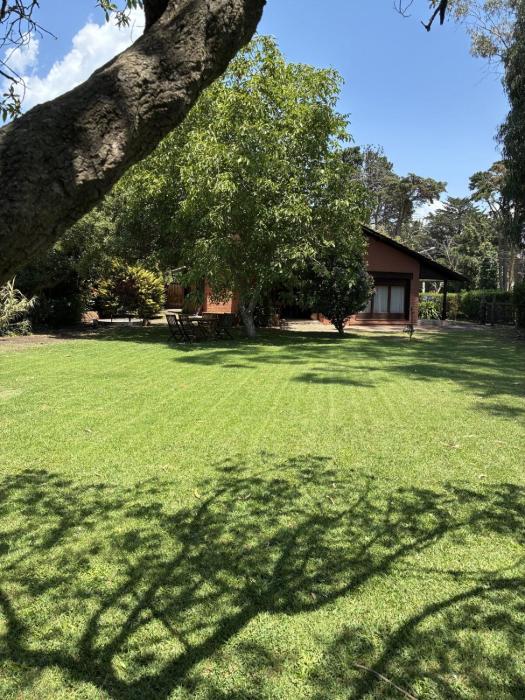 Fuegos del Sur, Acantilados