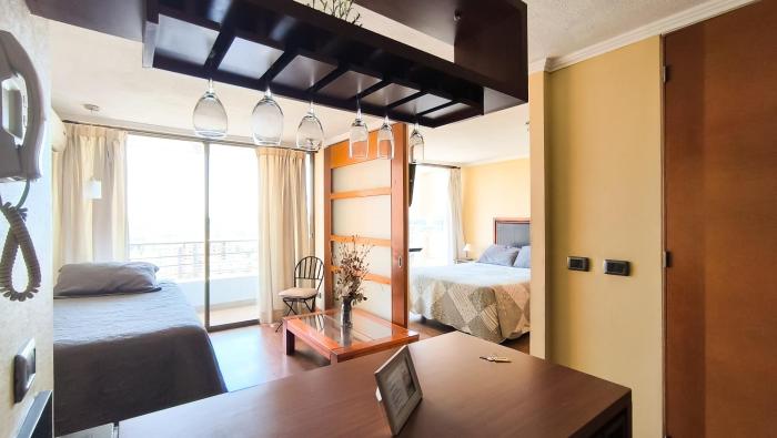 Depto Manuel Montt Providencia