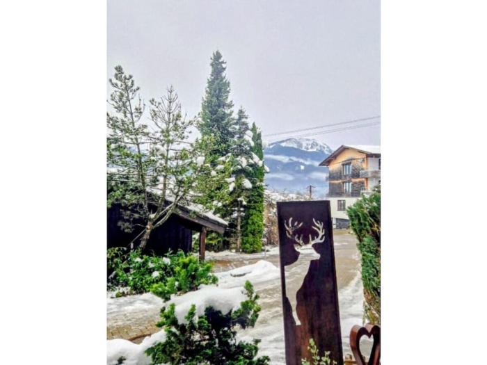 Alpenherz Obermaiselstein
