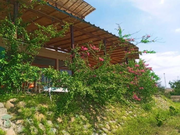 Punta Vichayo - Casa Ballenas