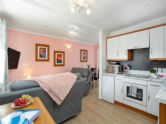 Bank Voles Nest - Uk45199