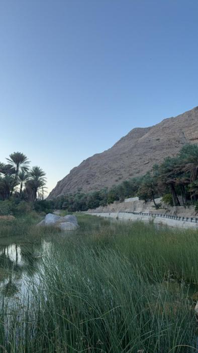 Wadi hawer privet tour guiding and local farms visiting