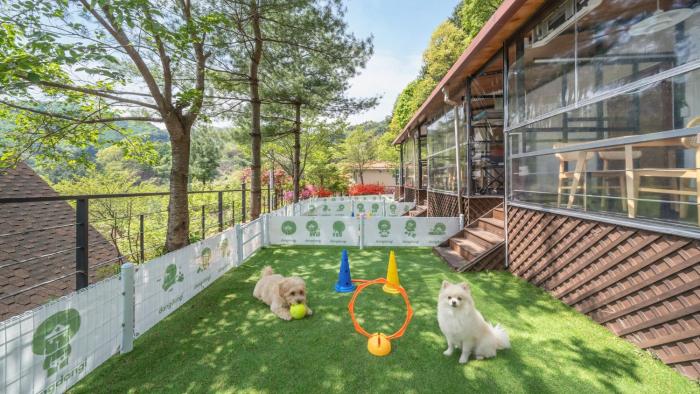 Gapyeong Daengdaengi Dog Pension Silver