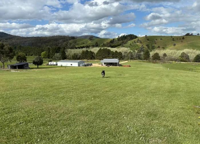 BrinCole - Pet-Friendly, Huge Deck with Epic Views & Fire Pit