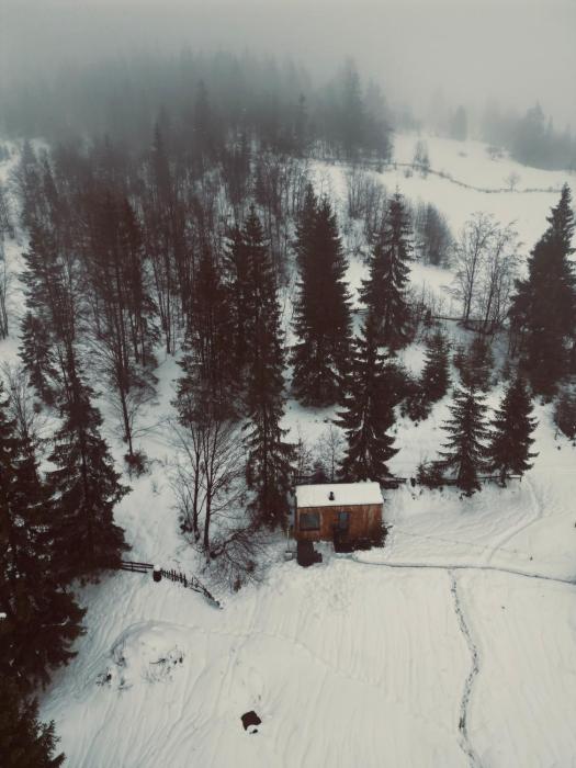 TogetherNest - Cedar