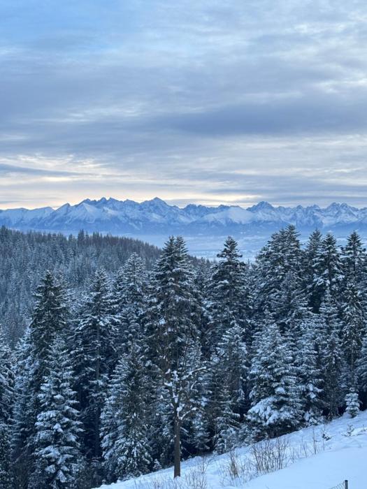 Apartament Zielone Wzgórze