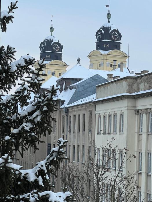 Museum 4 Residence Deluxe