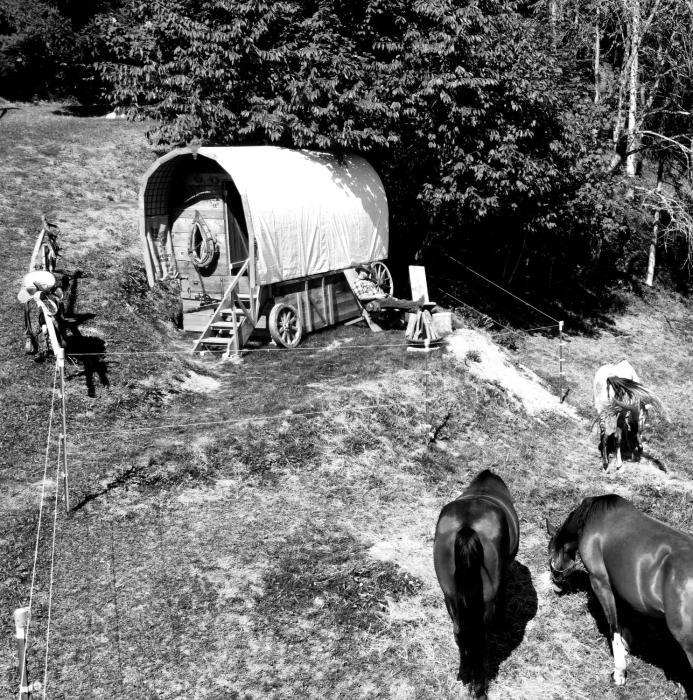 Western Style Planenwagen