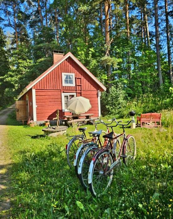 Authentic Finnish Sauna Cottage