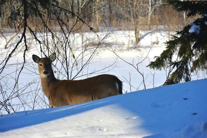 "Ecológico con Piscina Climatizada" y Sauna!!