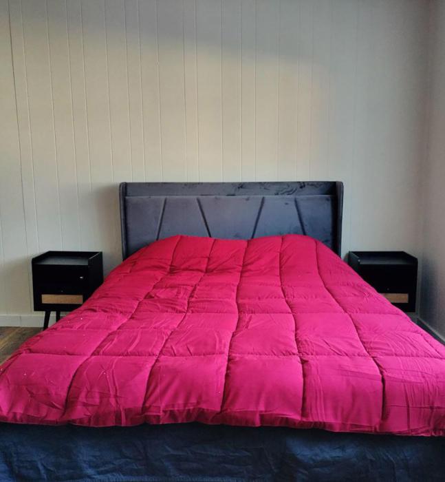 Nice&comfy 1BR apt, 1st fl, near T, free parking