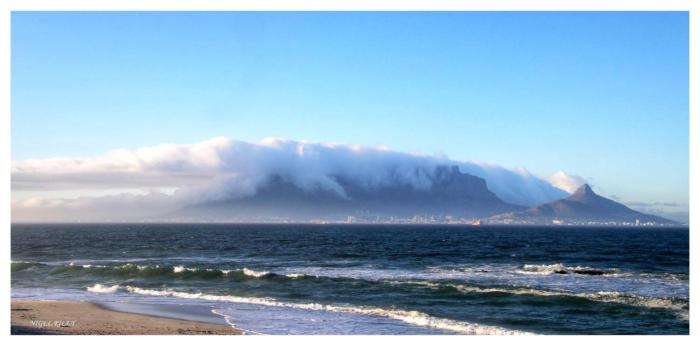 PIPS Place Penthouse 501