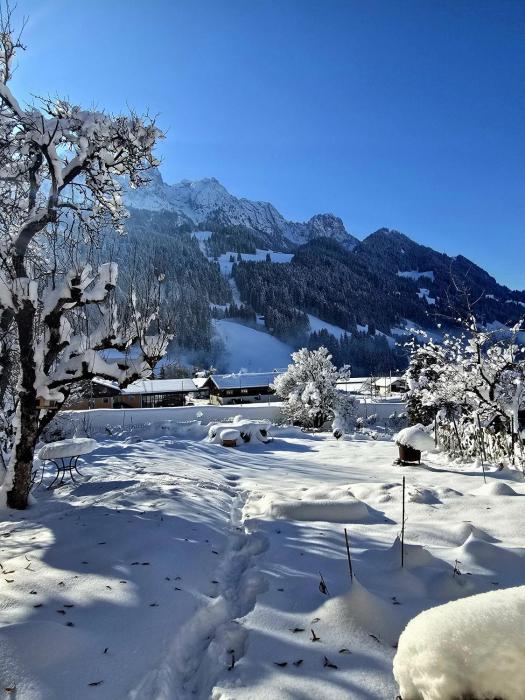 Nouveau à Rougemont - Gstaad Appartement dans Chalet 1830