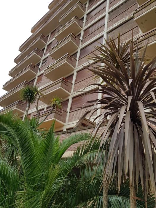 Martín Pescador y Valle Fértil