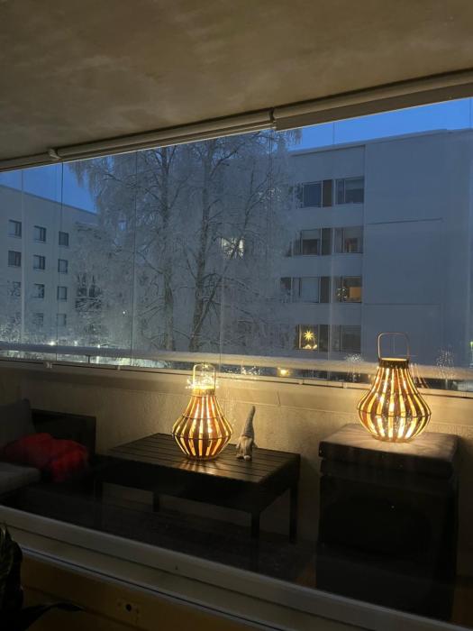 Wonderful arctic city apartment