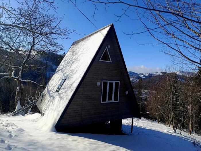 Мюзіка Карпат