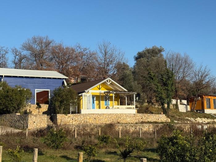 La Belle Saison