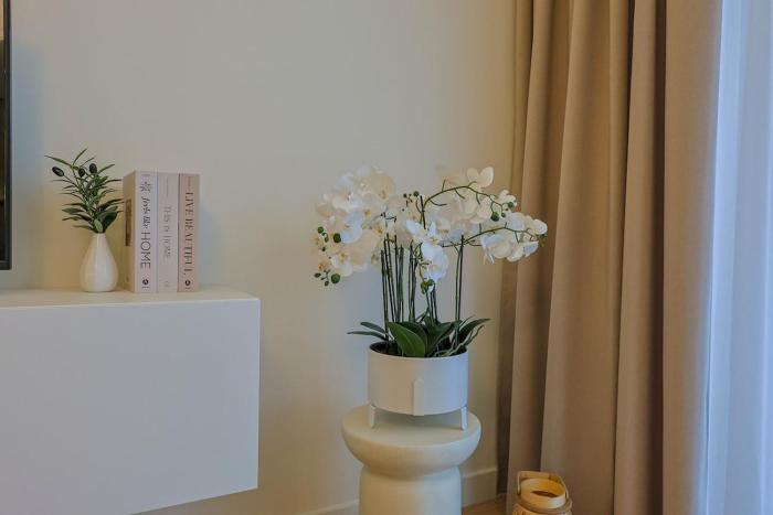 S310 with free parking