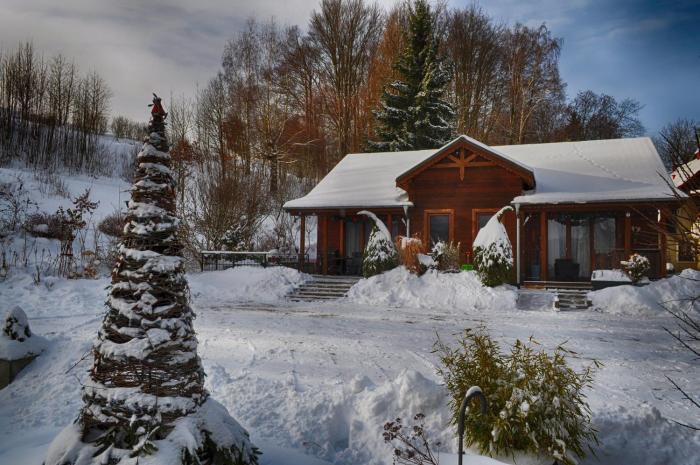 Apartamenty w Dolinie Gościna