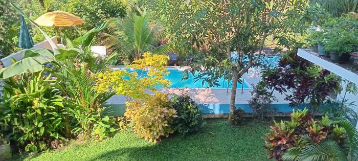 Villa Jungle Paradise