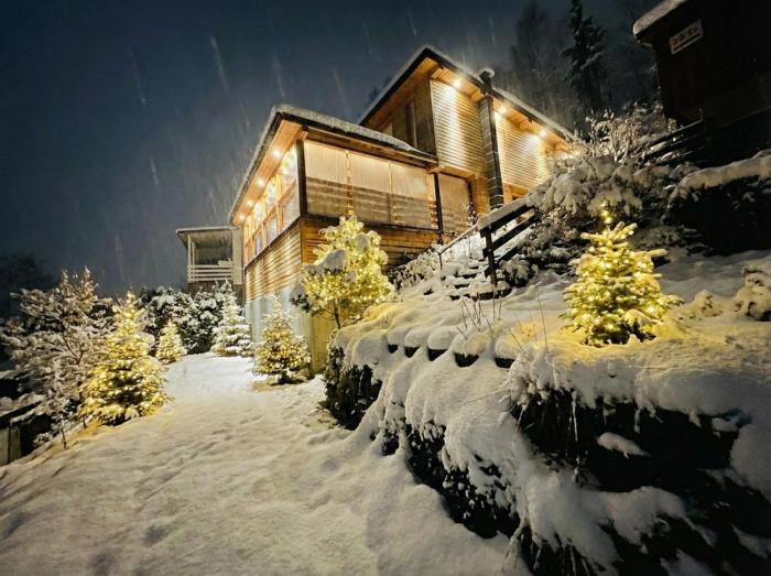 LakeView DomekNaKaszubach