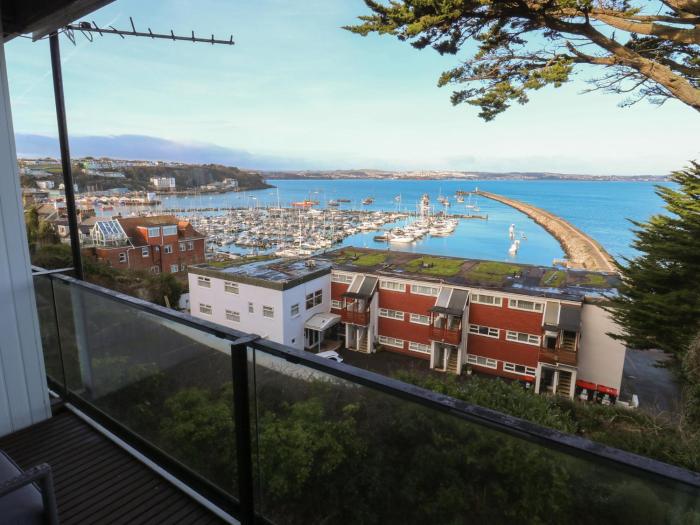 Snowy Owl View at The Breakwater