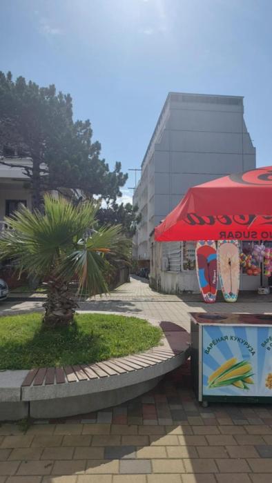 SeaView Comfort Stay