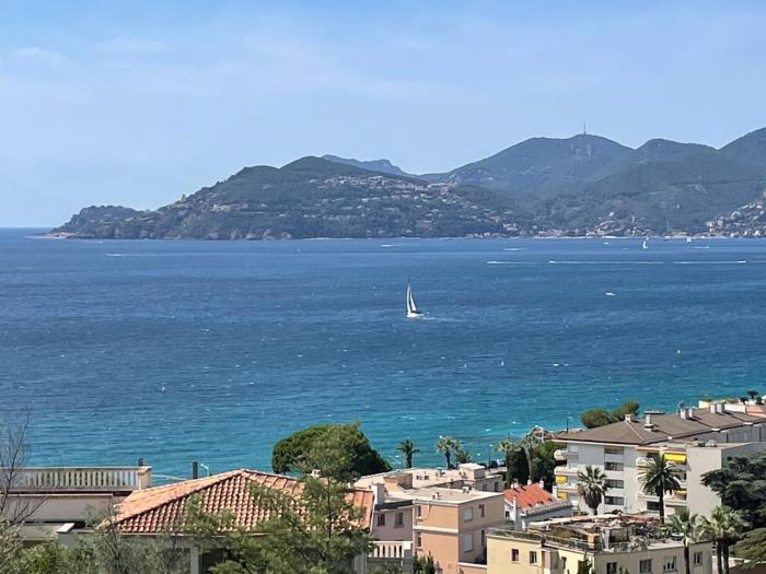 Splendid view Apartment in Cannes