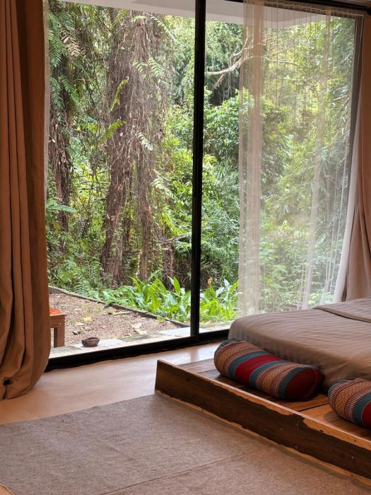 Lakehouse in the Old Rainforest