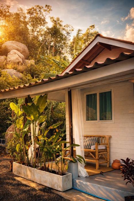 Little Mountain Nest