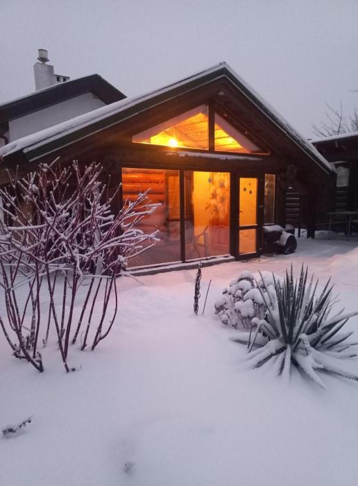 Дом с сауной и басейном на Теремках