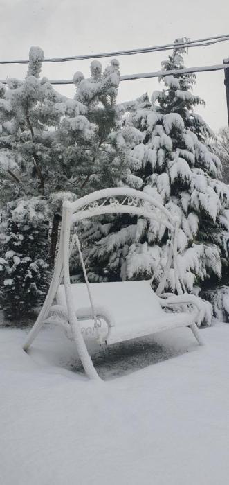 Holiday House Valiug