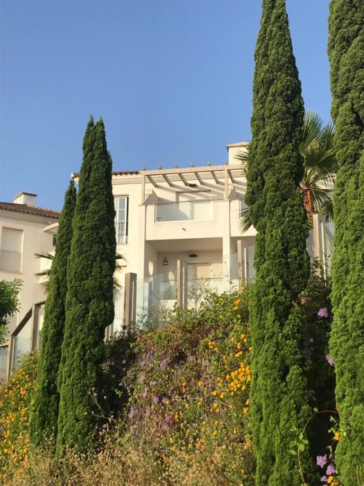 Las Vistas Small Oasis