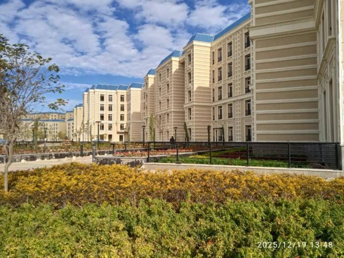 الحى اللاتينى القبلى العلمين الجديده