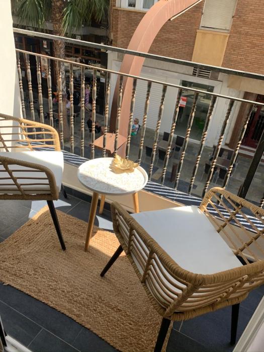 Palmeras Puerto Torrevieja