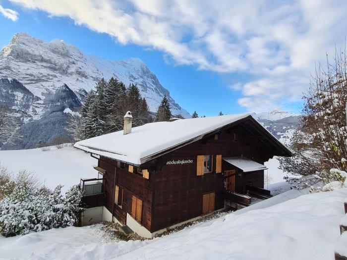 ABO - Boutique Apartment - Chalet Grindelwaldgletscher