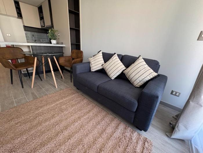 Experiencias Movistar Arena I Parque Ohiggins