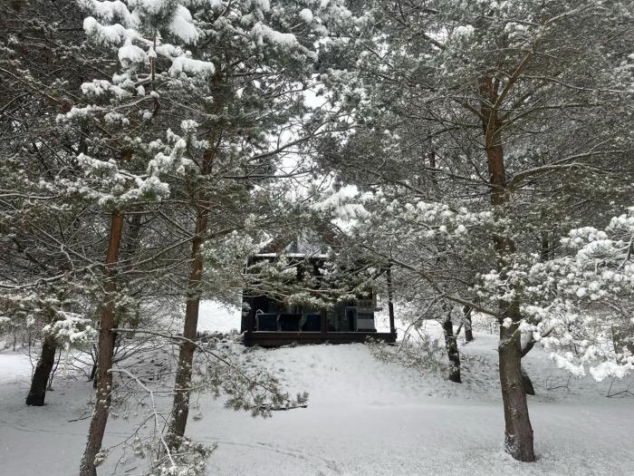 Cosy Cabin - domek na Kaszubach z sauną, balią i basenem