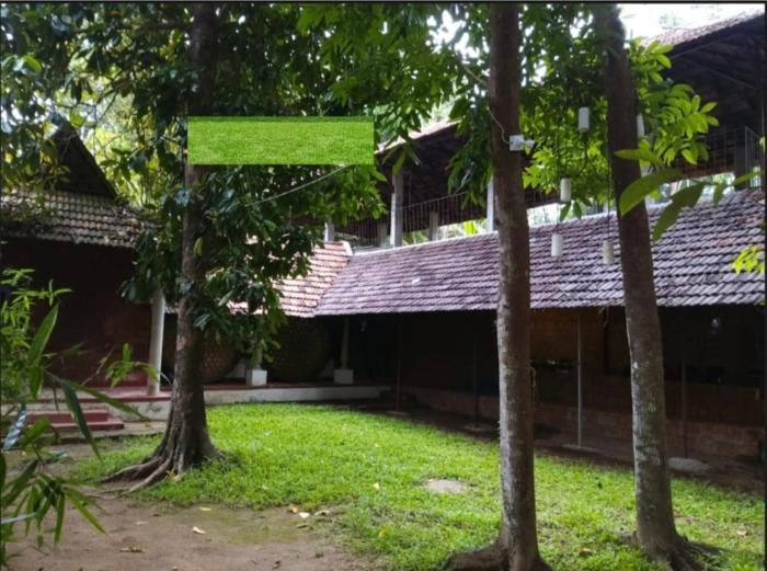Sallyies Homestay Gust House