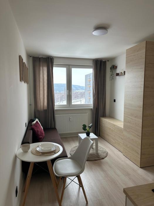Stylish apartment right in the heart of Košice