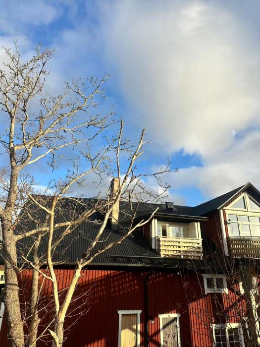 Farm under the stars