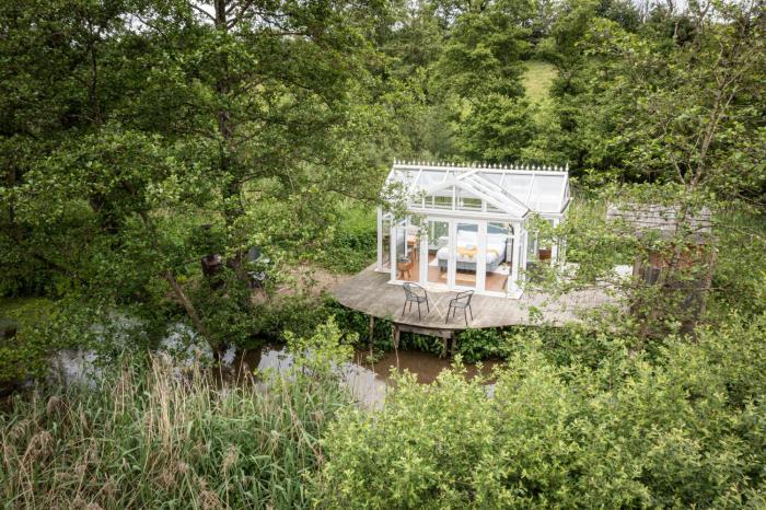 Bécassine - Nids des Marais