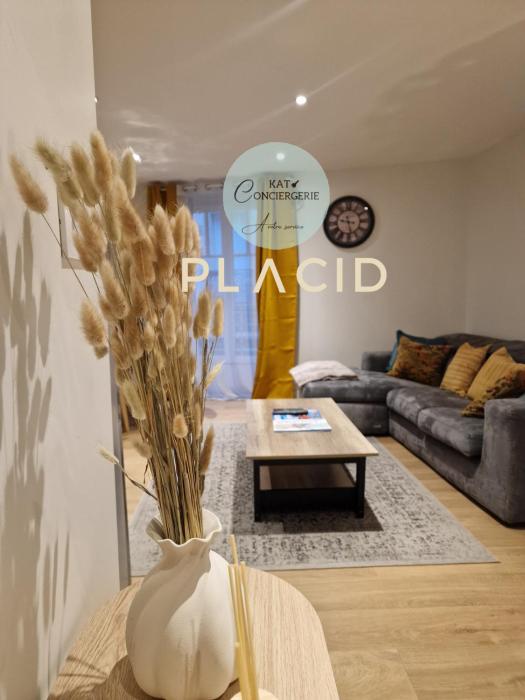 Appartement cosy au cœur de Vannes