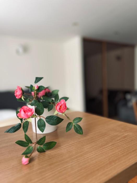 Apartamenty EverySky - 1 go Maja 35A-35B