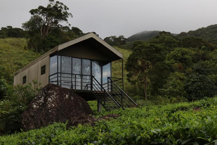 Ethereal Sinharaja Rainforest Luxury Glamping & Adventure Park
