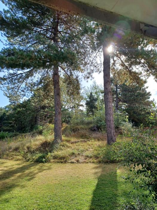 Appartement Belle dune, entre lac mer et forêt